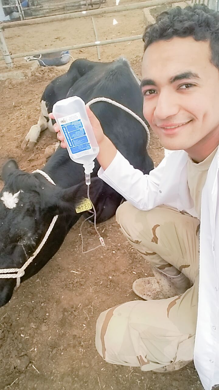 vet care"العيادة البيطرية الشاملة" - صورة 1