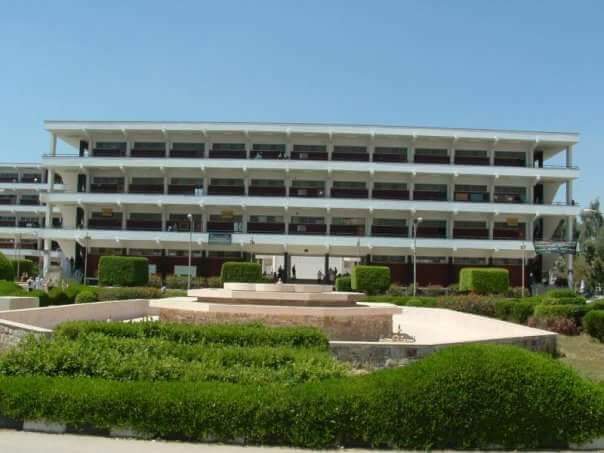 Faculty Of Education - Minia University - Photo 2