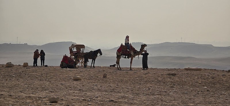 Red Sea Egypt Tours - Photo 2