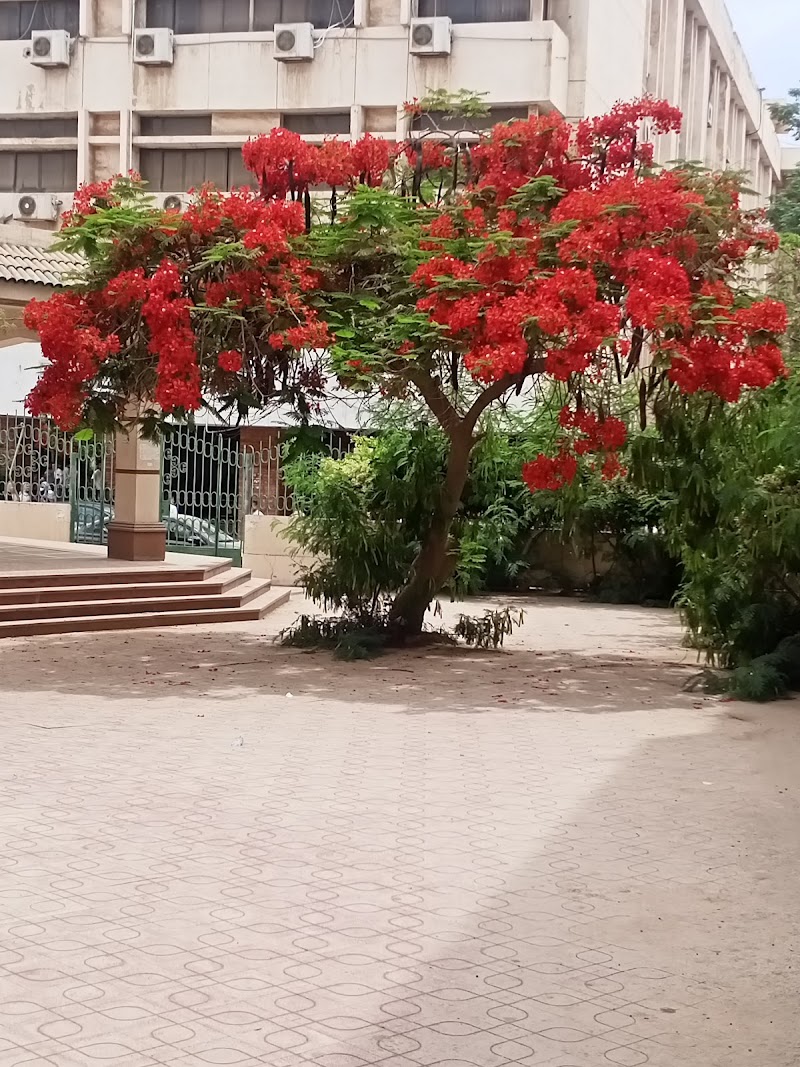 Zagazig University - Photo 2