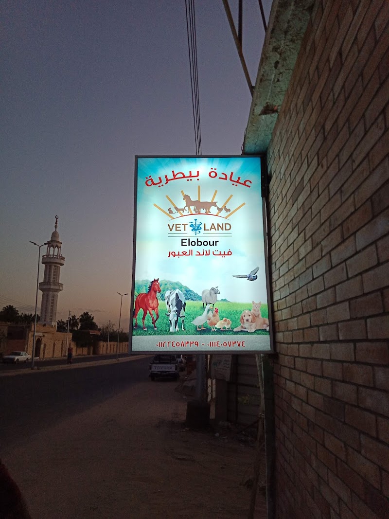 Vet Land - Elobour - Photo 3