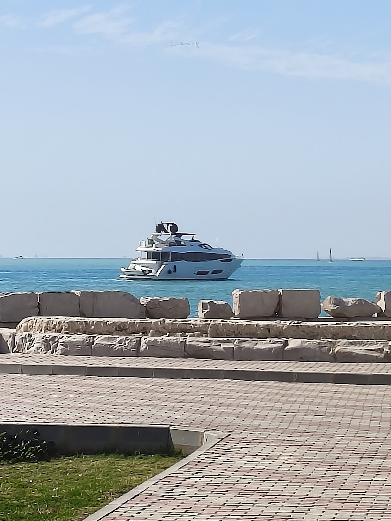 شركة البحر الاحمر للملاحة - صورة 1
