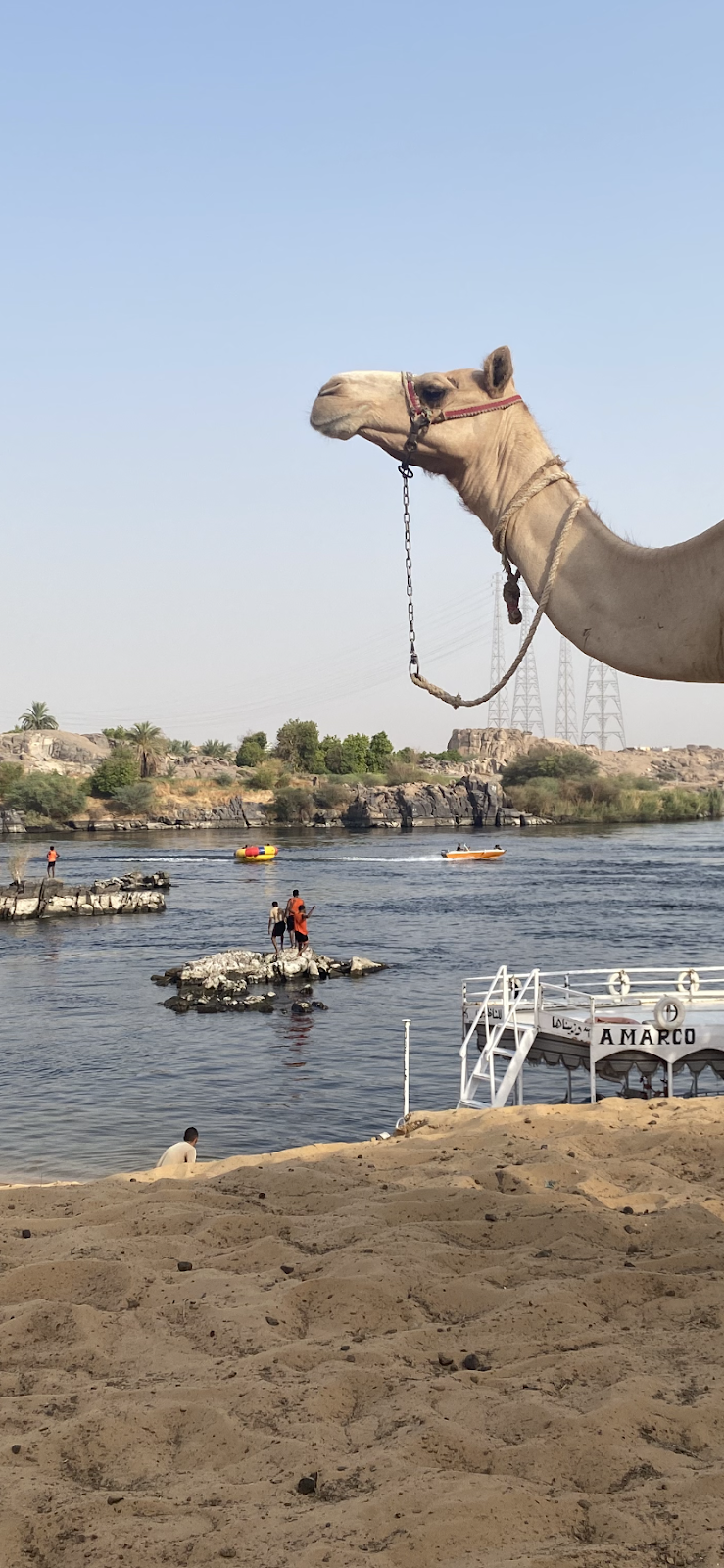 المدينة الصناعية باسوان - صورة 2