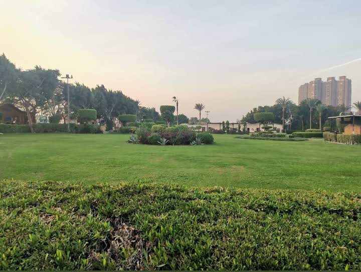 Maadi Island - Photo 2