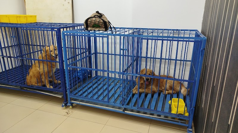 Bloom Pets Clinic - صورة 2