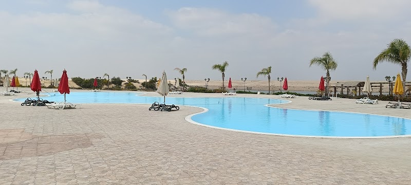 فندق توليب الفيروز - Tolip Elfairouz Hotel