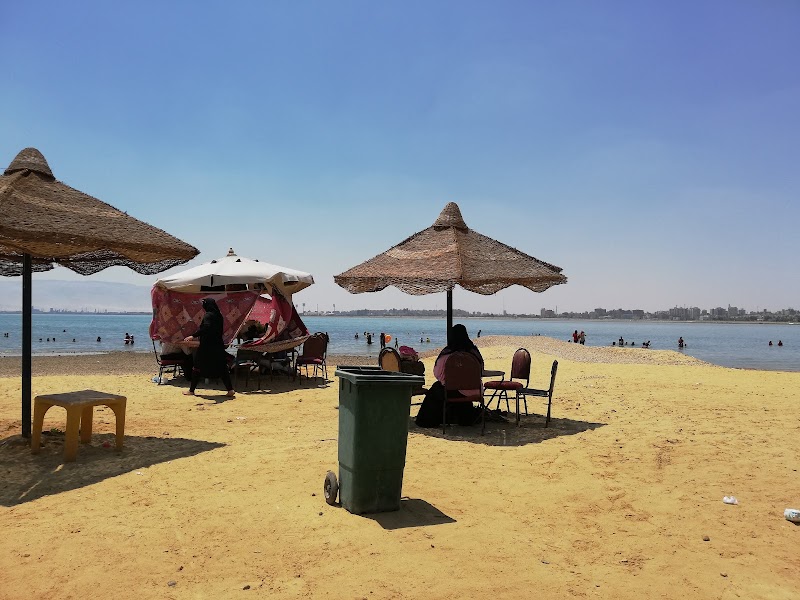 نادي التجديف