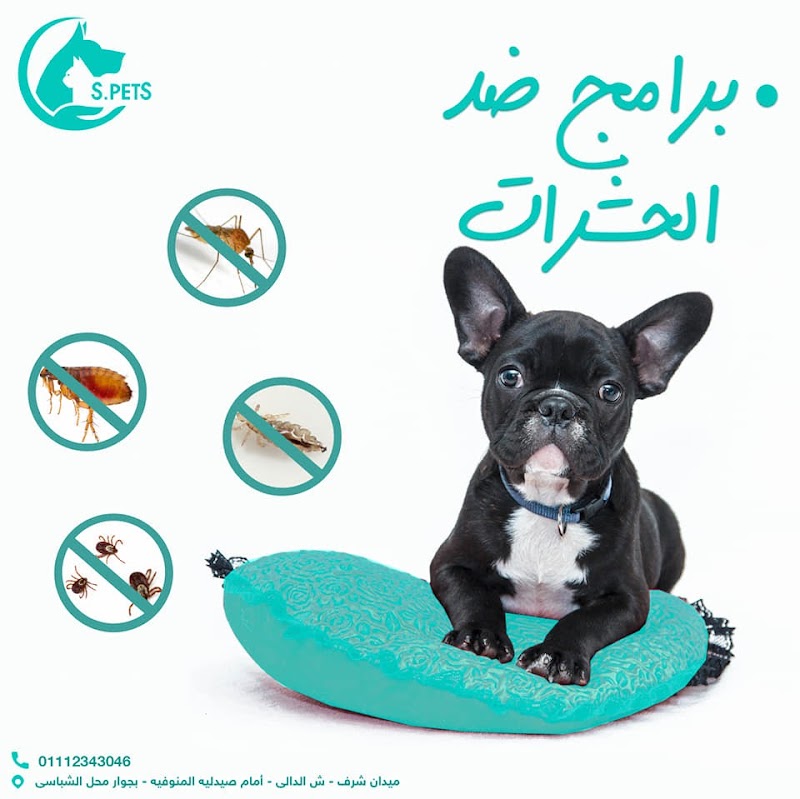 Silvia pets clinic