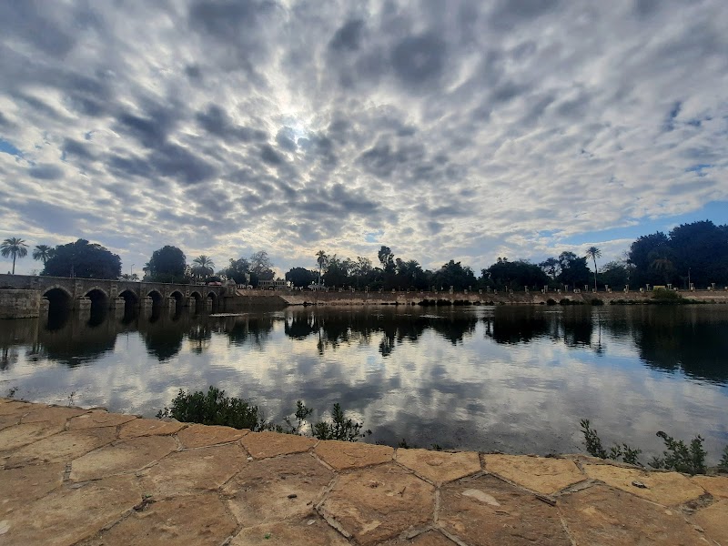مشاتل القناطر الخيرية - Photo 3