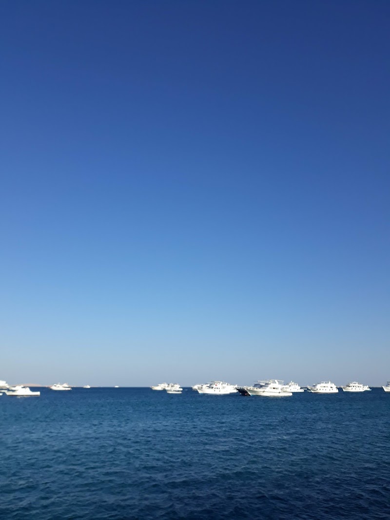 مكتبة ومطبعة البحر الاحمر Red Sea Stationry - صورة 2