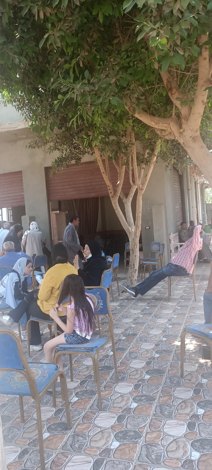 . دكتور محمود كمال عفيفي - Photo 1