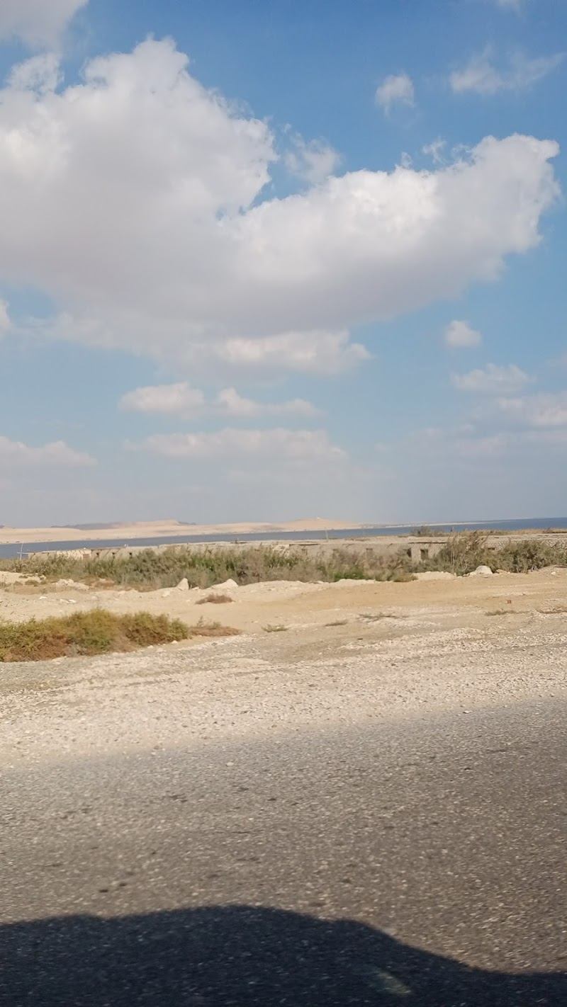 سهارى كافيه - صورة 3