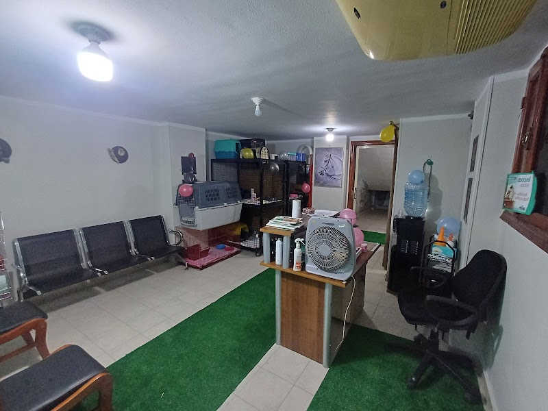 Jungle Veterinary Clinic