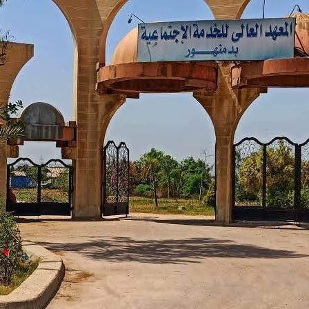 Higher Institute of Social Service in Damanhour
