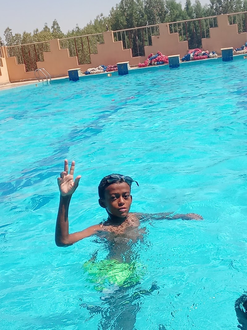 حمام سباحه الجزيرة - Photo 2