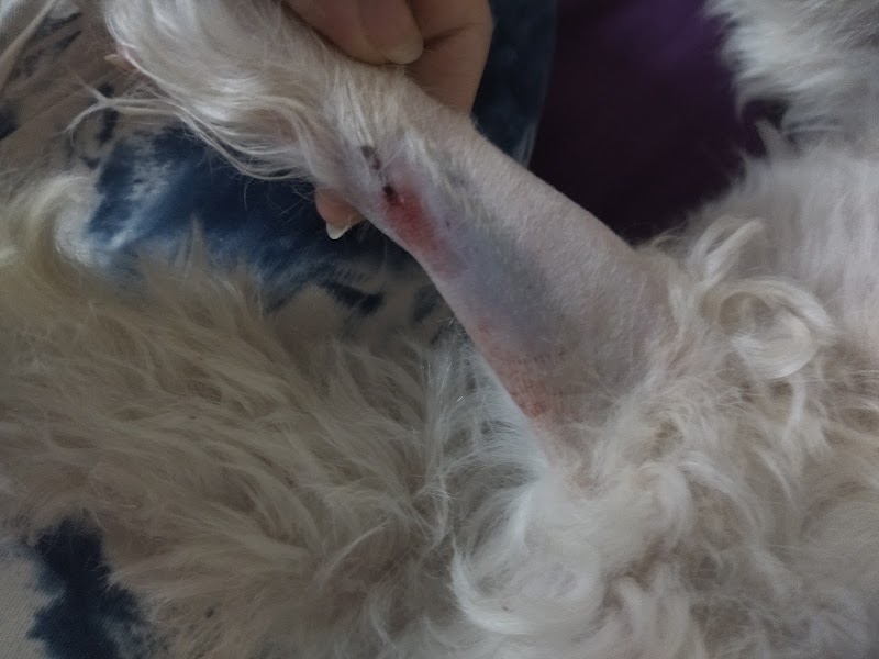 Vet Drug House - Photo 2