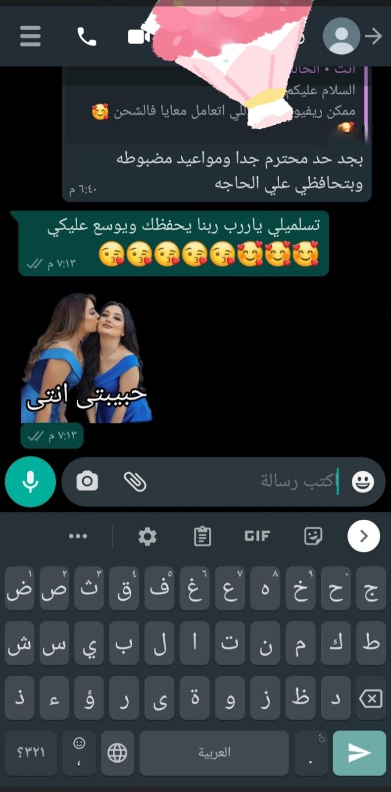الرمال للشحن داخل الإسكندرية والمحافظات - صورة 2