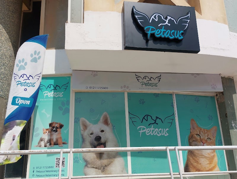 Petasus Veterinary Clinic