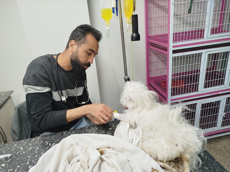 العيادة البيطرية pet planet