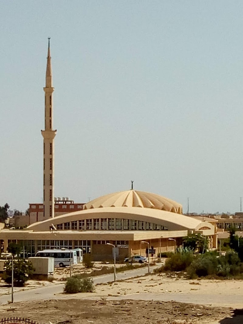 المجمع التعليمي بالإسماعيلية - Photo 2