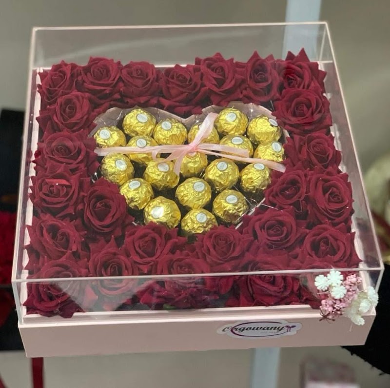 EGYPT GIFT هدايا مصر - صورة 3
