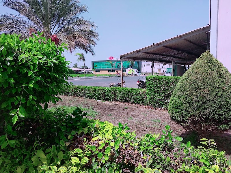 شركة الإسماعيلية للإستثمار الزراعي والصناعي - صورة 1