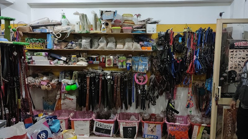 Animal planet pet shop