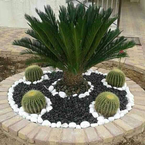 مشاتل السلام بالغربية - صورة 2