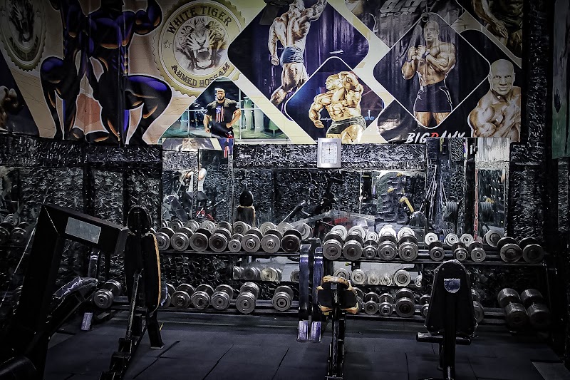 White tiger gym - صورة 3
