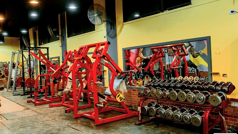 Dynamic Gym