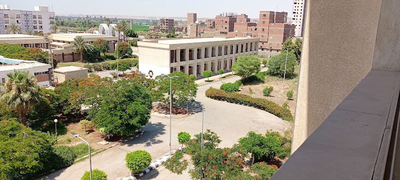 كلية التربية الرياضية جامعة المنيا - صورة 3