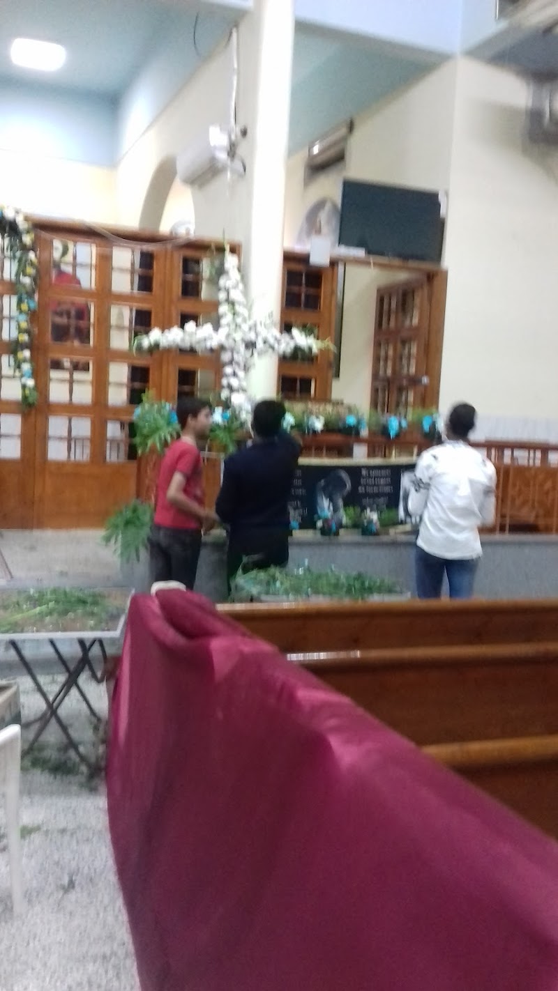 دنيا العصافير - Photo 1