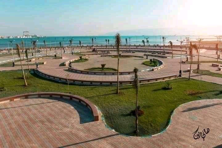 ممشى النخيل - صورة 1