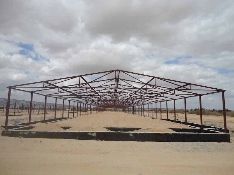 شركة وادى النيل للمقاولات العمومية (م.محمودشيحة) - Photo 1