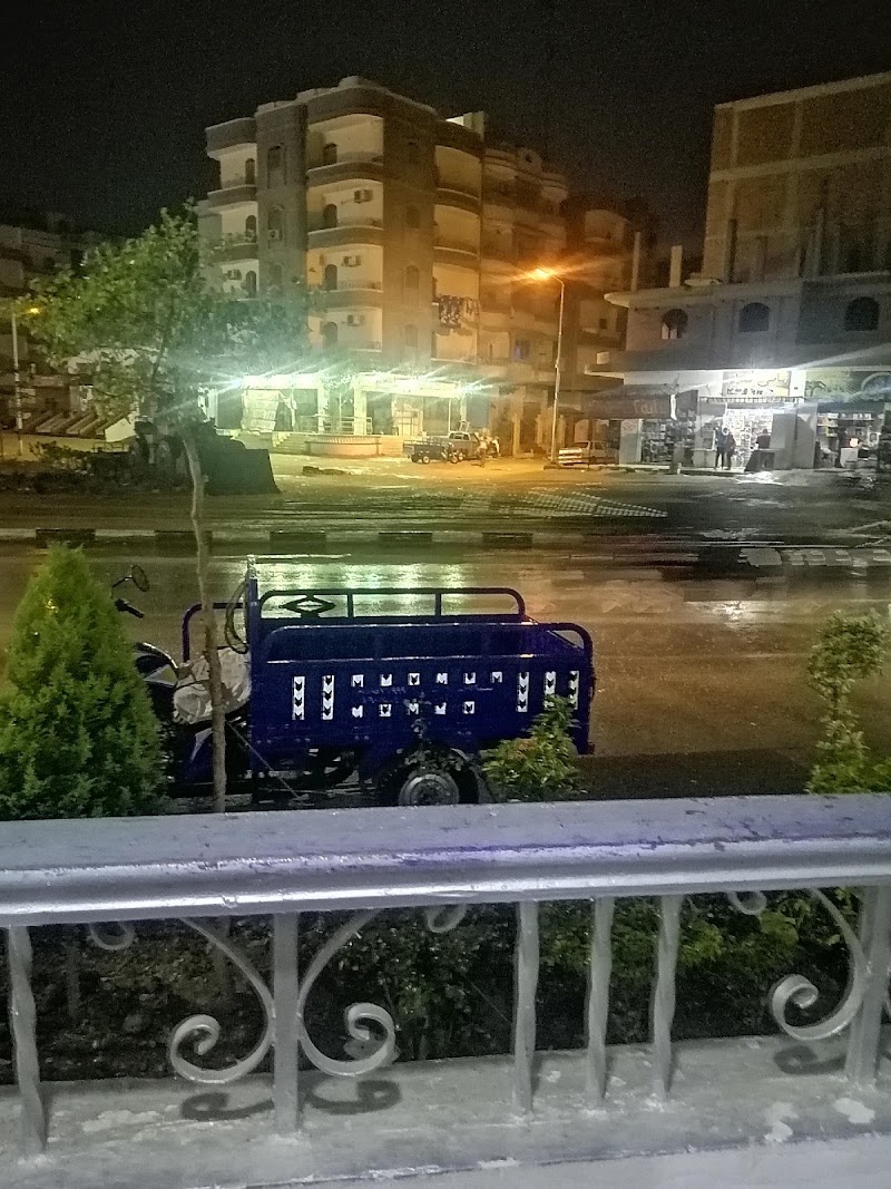 سما للخدمات العقارية والتصدير - صورة 3