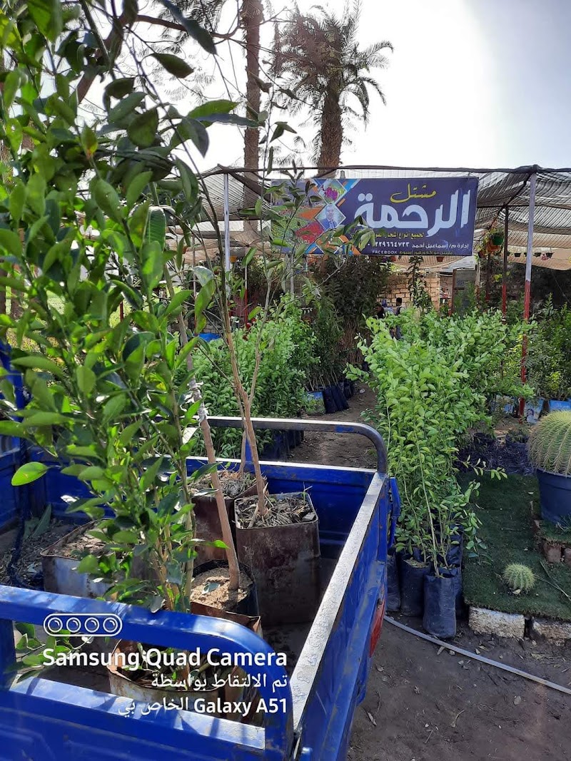 مشتل الرحمة - صورة 2
