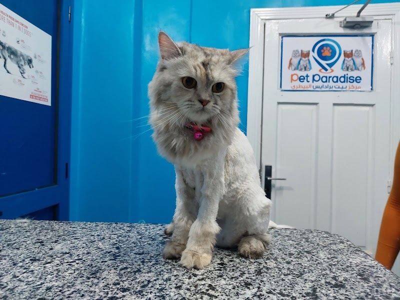 Pet Paradise Vet Center مركز بيطري للقطط والكلاب