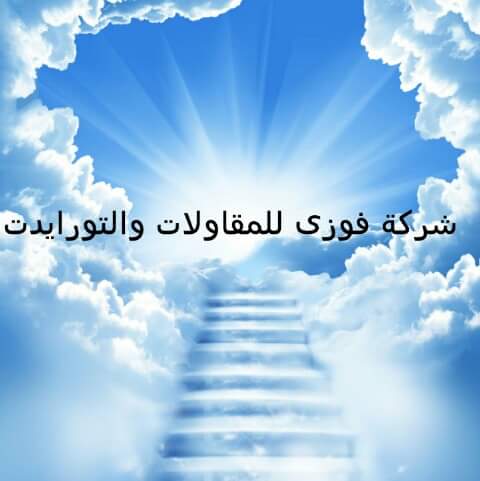 شركة فوزى للمقاولات - صورة 3
