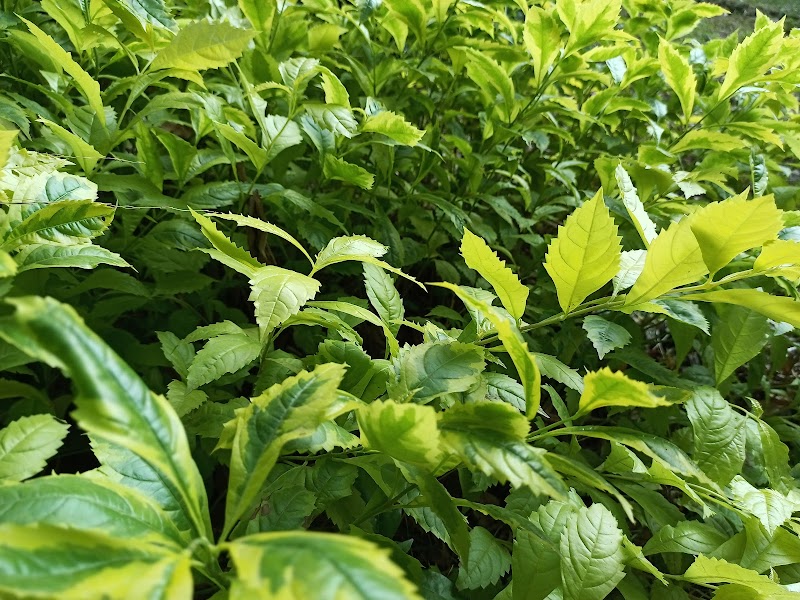 مشتل كلية الزراعة جامعة المنوفية - Photo 2