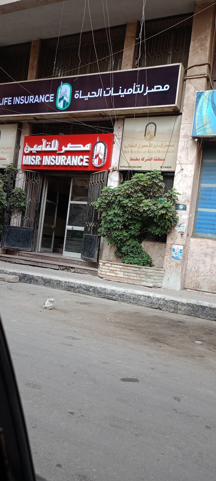 شركة مصر لتأمينات الحياة - صورة 3