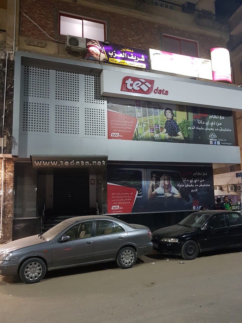 المصرية للإتصالات Telecom Egypt