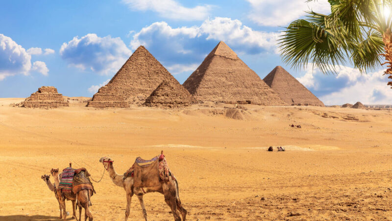 Gamil Egypt Tours