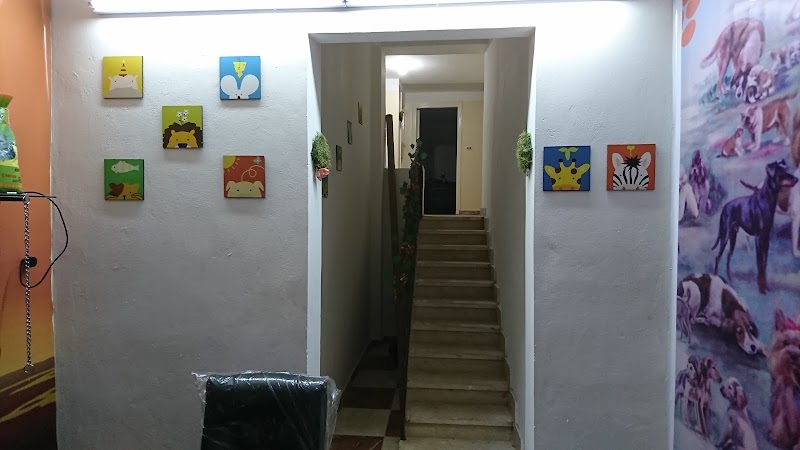 Simba Veterinary Center