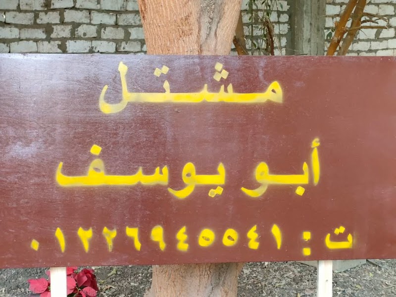 مشتل ابو يوسف الاقصر - صورة 2