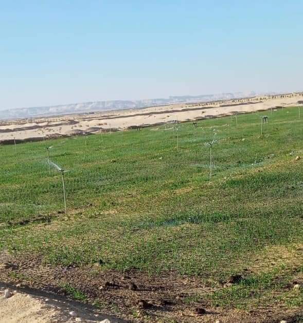عيادات ايوب التخصصيه - Photo 1