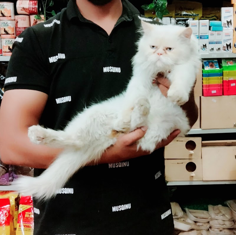 Zoo للحيوانات الأليفة - بيع أكل قطط وكلاب - Photo 3