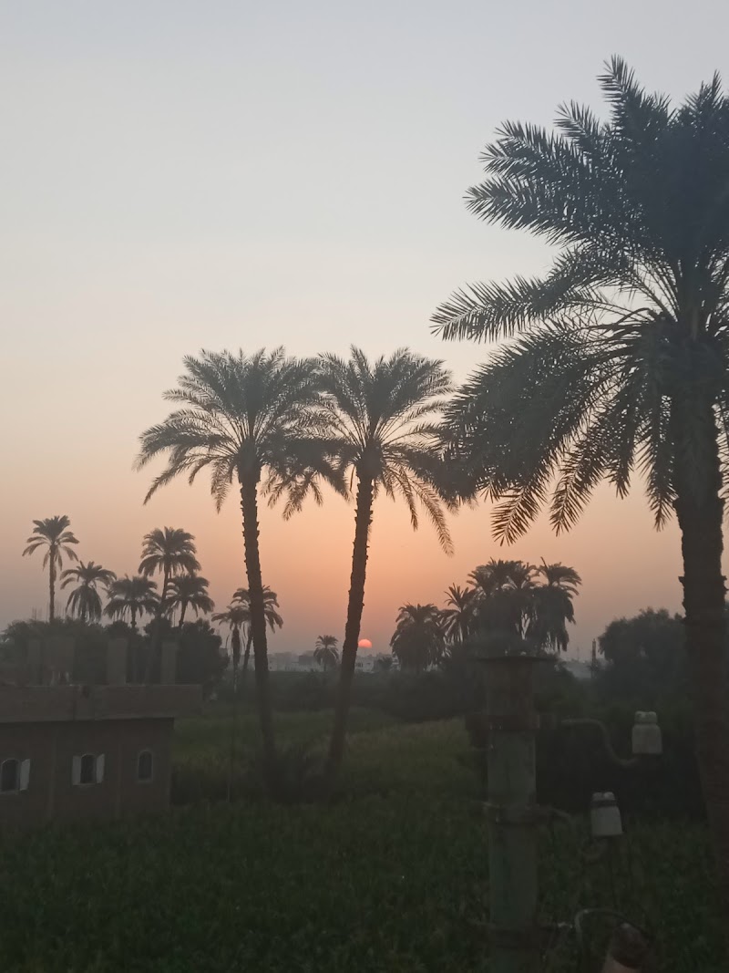 Travel Agency Luxor and Aswan - صورة 2