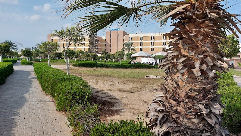 Suez Canal University Hospital - Photo 2