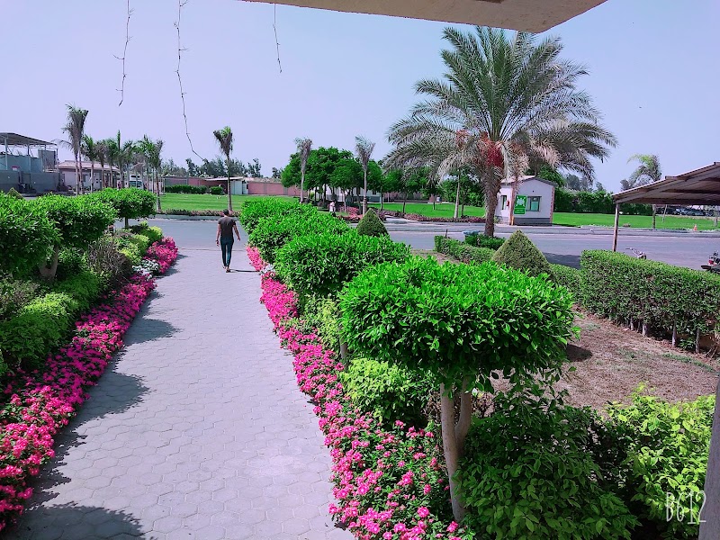 شركة الإسماعيلية للإستثمار الزراعي والصناعي - صورة 2