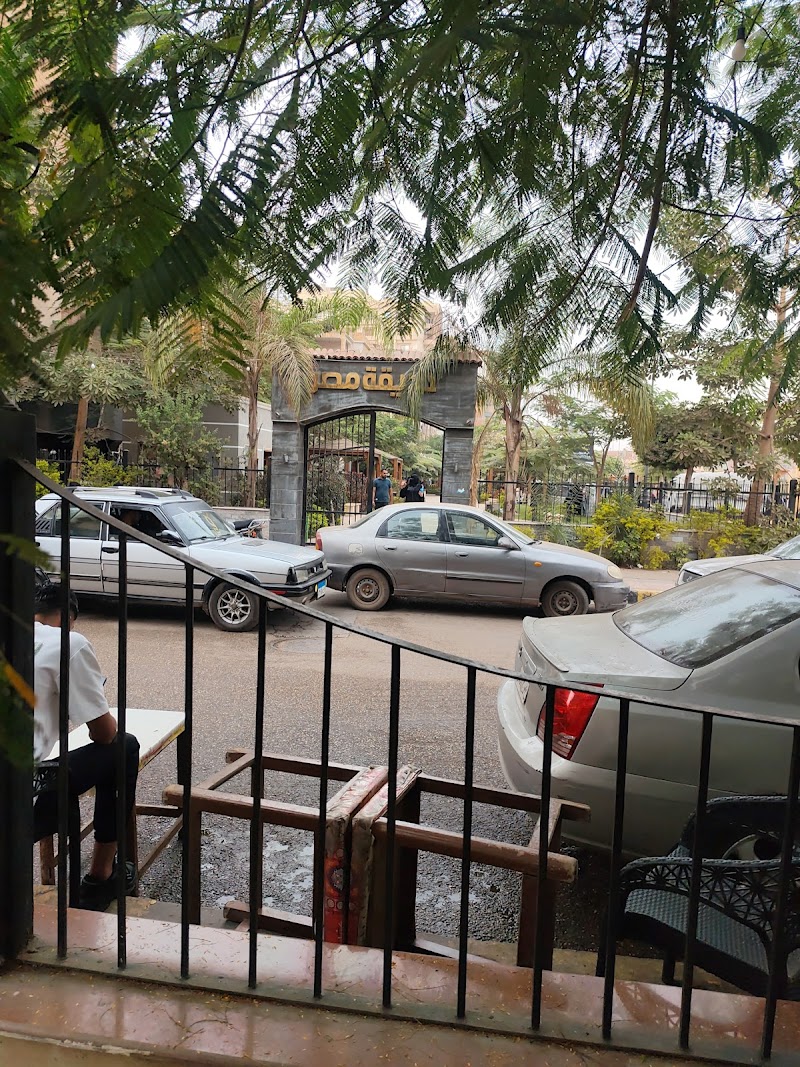 مكتب تصديقات وزارة الخارجية الإسكندرية - صورة 2